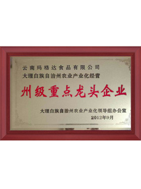 州級(jí)重點(diǎn)龍頭企業(yè)