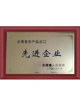 先進(jìn)企業(yè)