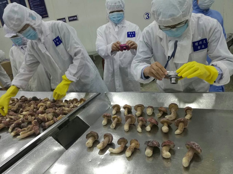 大理博琪尼食品有限公司 迎來了首批日本客商到廠實地考察 并簽訂供貨合同