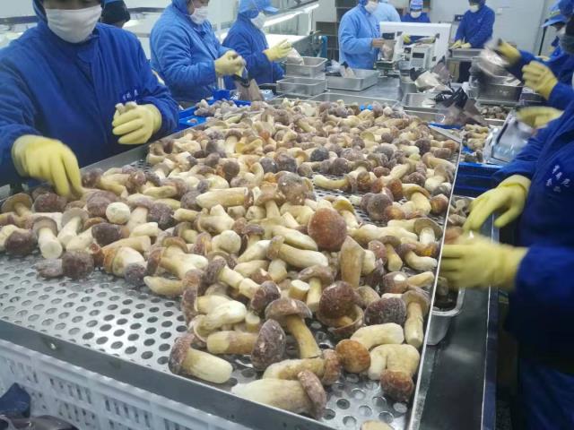 法國客商到大理博琪尼考察參觀